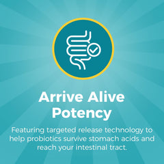 NewRhythm Probiotics: enzimas digestivas para descomponer alimentos.