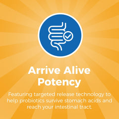 NewRhythm Probiotics, sin refrigeración, cómodo para casa o viaje.