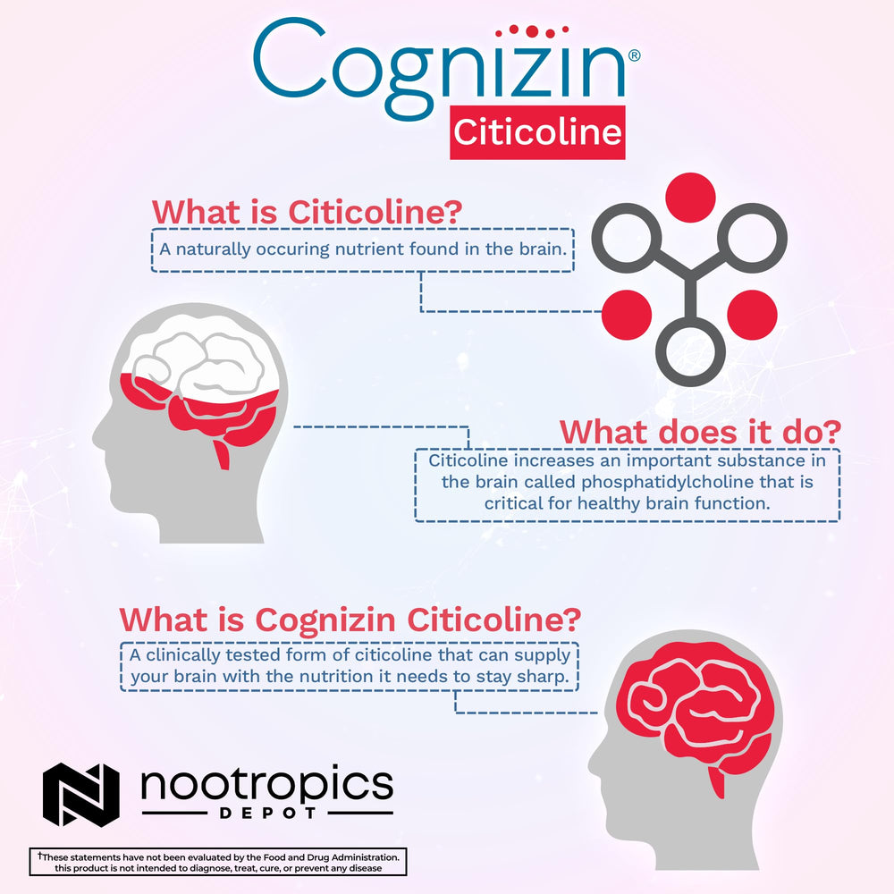 Nootropics Depot etiqueta nutricional legible con ingredientes clave