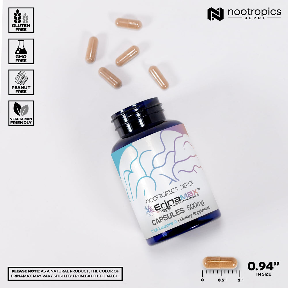 Nootropics Depot Erinamax polvo y textura para ver calidad del micelio