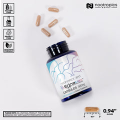 Nootropics Depot Erinamax polvo y textura para ver calidad del micelio