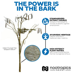 Nootropics Depot etiqueta Sabroxy, fácil identificación y uso diario.