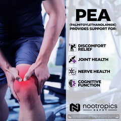 Envase de PEA Nootropics Depot sostenido en mano para escala visual