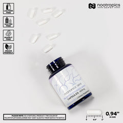 Polvo micronizado de PEA Nootropics Depot, textura fina para absorción