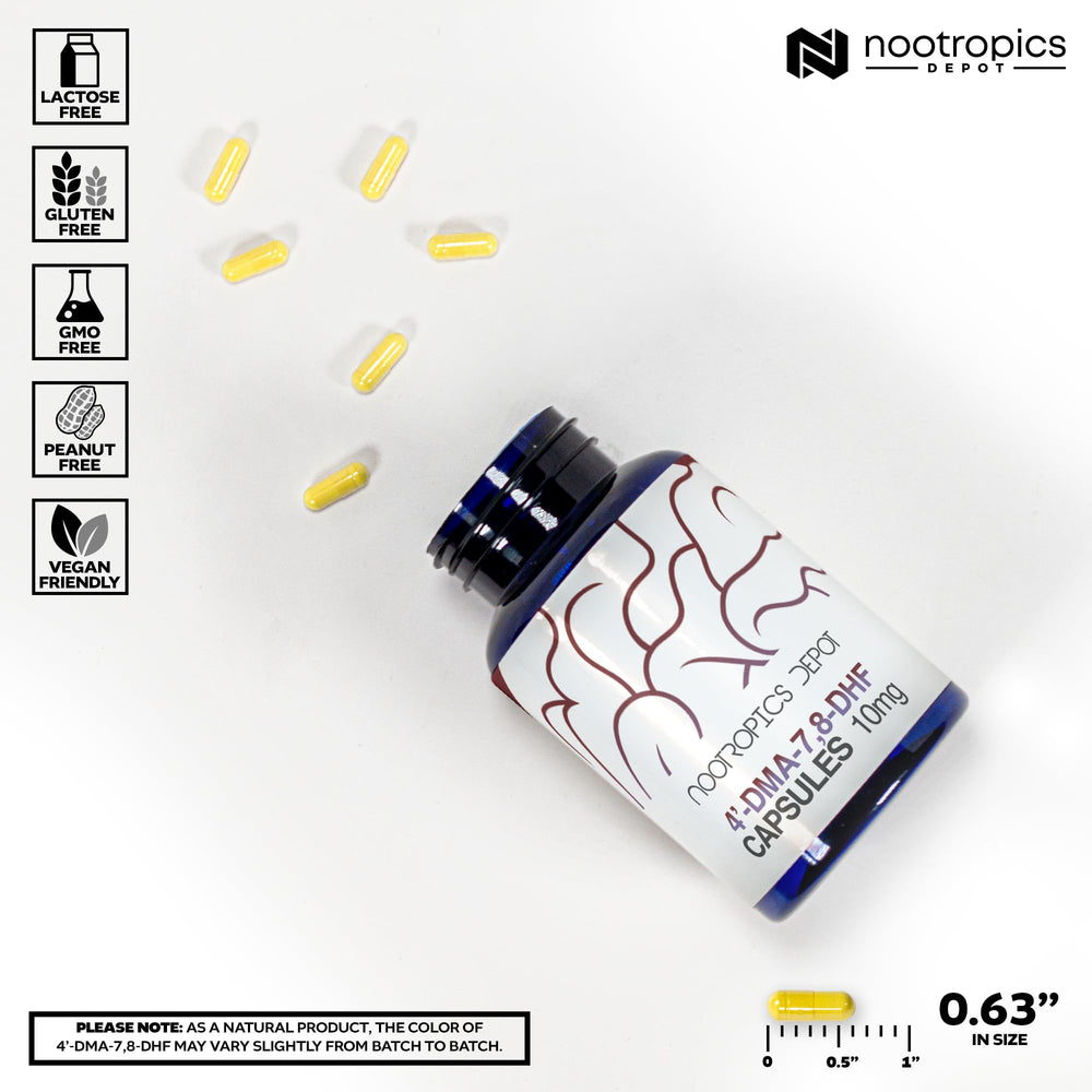 Nootropics Depot detalle de textura del polvo antes de encapsular para calidad
