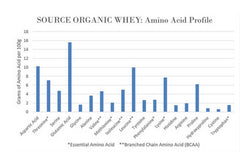 NorCal Organic cacao orgánico en grano que aporta sabor natural y puro