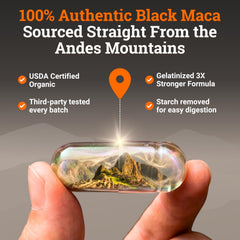 Nourishing Nutrients maca en batido matutino, integración sin sabor fuerte