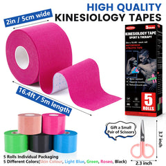 NUITPY colección de cinco colores organizada para selección rápida y estética