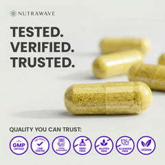 Envase Nutra Wave colocado en entorno natural para transmitir origen vegetal