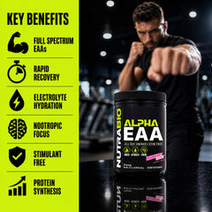 NutraBio Alpha EAA comparación de tamaño con manos para visual de porciones