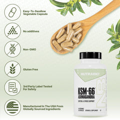 NutraBio producto en escritorio mostrando uso diario para enfoque mental