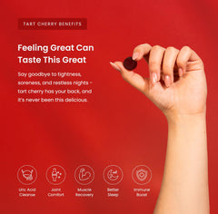 NutraChamps gomitas en la mano para mostrar tamaño y facilidad de consumo