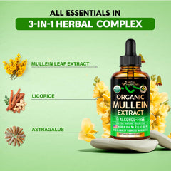 NUTRAHARMONY ingredientes clave licorice y astragalus mostrando pureza