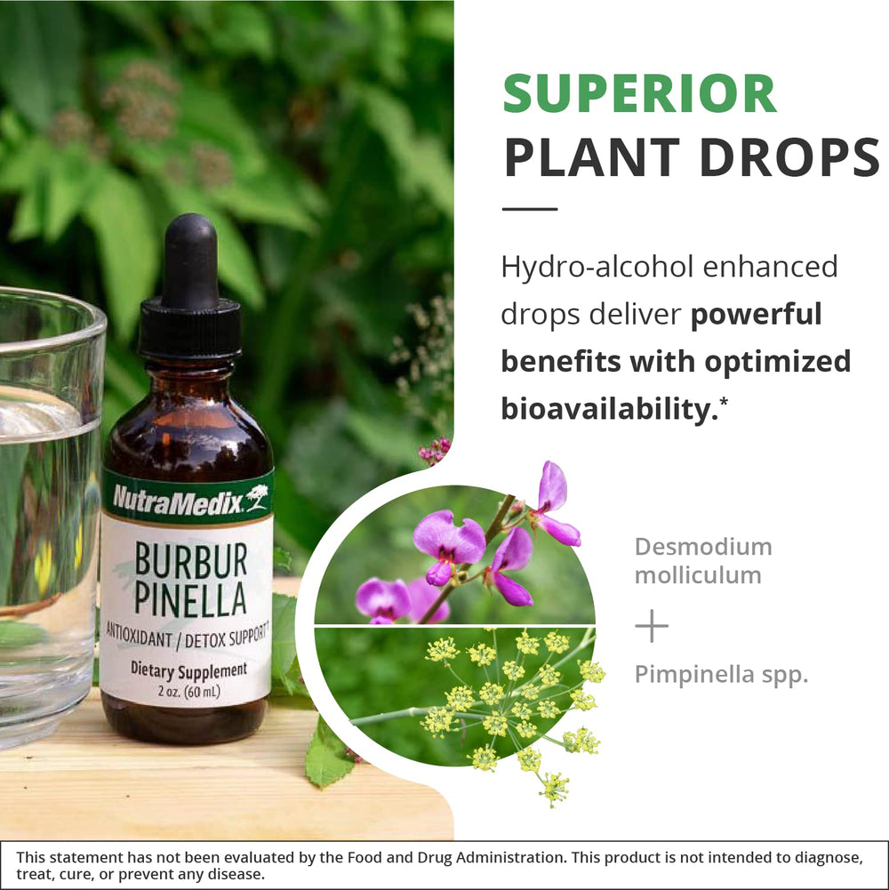 NutraMedix primeros planos de Burbur y Pimpinella resaltando pureza botánica