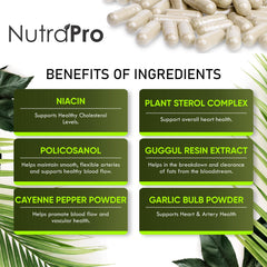 NutraPro etiqueta con lista de ingredientes y calidad GMP visible