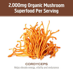 OM MUSHROOM envase junto a objetos para comparar tamaño y porciones