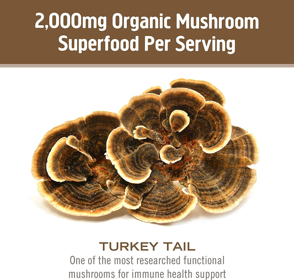 OM Mushroom cultivo y secado en Southern California, control de proceso