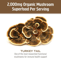 OM Mushroom cultivo y secado en Southern California, control de proceso