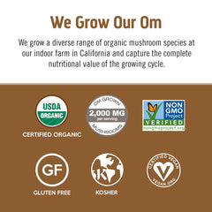 OM MUSHROOM SUPERFOOD cucharada con porción exacta práctica