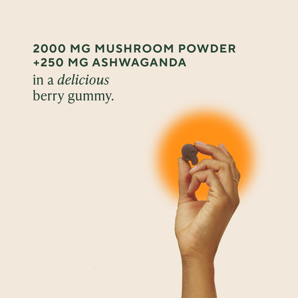 OM MUSHROOM SUPERFOOD gomita en mano para una toma práctica