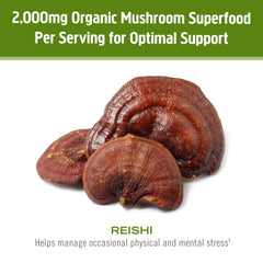 OM MUSHROOM SUPERFOOD cuchara con porción que muestra tamaño y dosificación