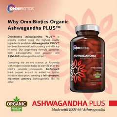 OmniBiotics etiqueta con ingredientes y extracto KSM-66 para confianza