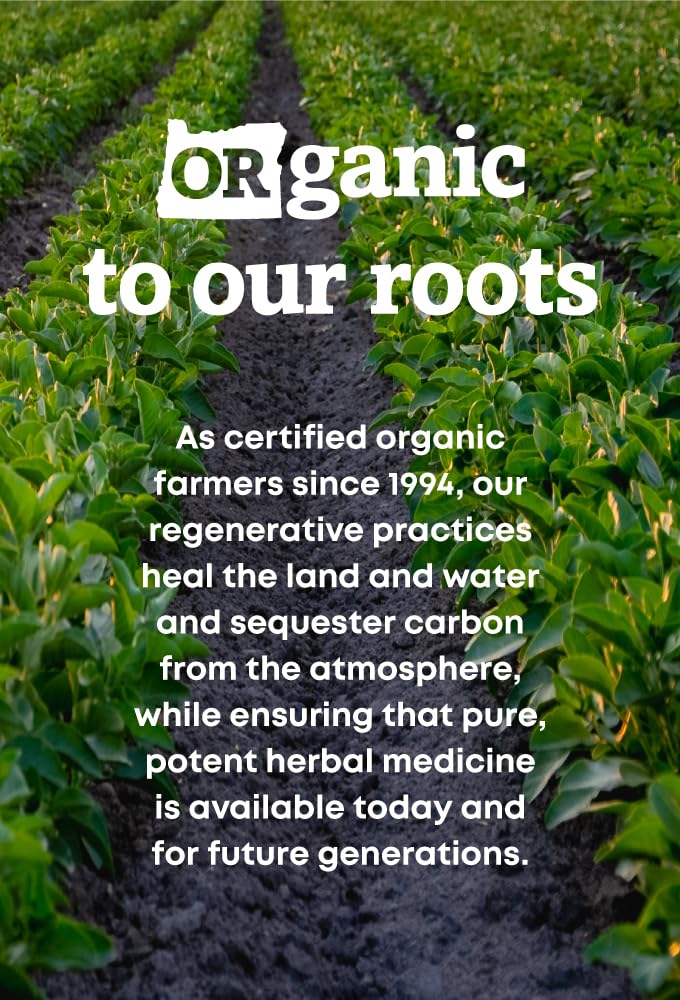 Oregon's Wild Harvest tamaño comparativo en mano para referencia de dosis