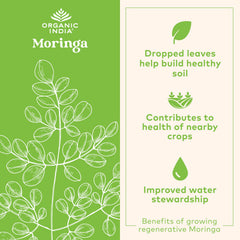 ORGANIC INDIA polvo de moringa textura fina color verde evidencia de pureza vegetal