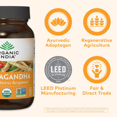 ORGANIC INDIA producto en cocina apoyando rutina diaria saludable