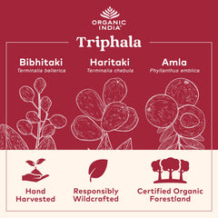 ORGANIC INDIA cápsulas Triphala en primer plano mostrando textura y tamaño cómodo