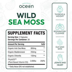 Detalle de cápsulas Organics Ocean mostrando textura y pureza del producto