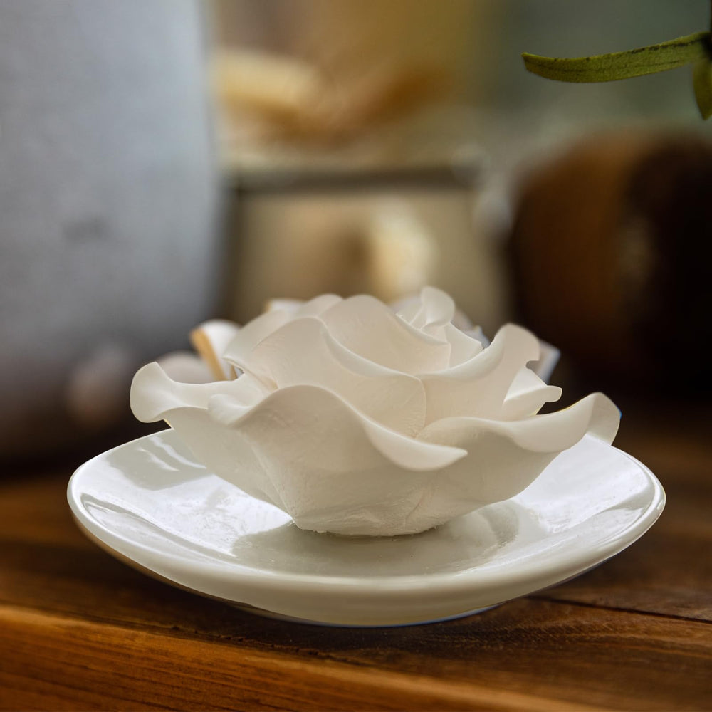 oumeiben tamaño en mano muestra formato compacto y portátil