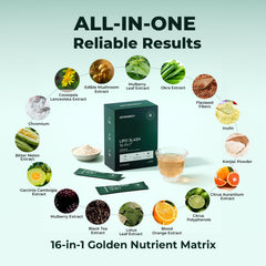 OxyEnergy hojas y raíces que ilustran ingredientes botánicos naturales