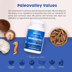Paleovalley envase en cocina sugerente de estilo de vida saludable