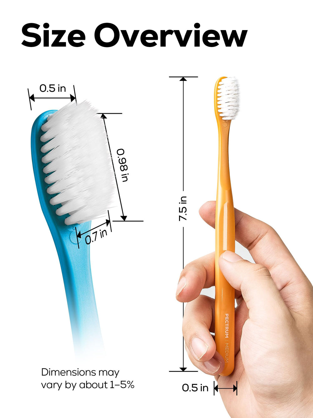 PECTRUS comparación tamaño del cabezal para acceso a molares