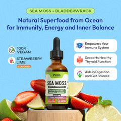 Pella Nutrition etiqueta en detalle que muestra información de ingredientes y certificaciones confiables