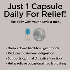 Peptiva Prodigest ingredientes alcachofa jengibre: apoyo natural para la digestión