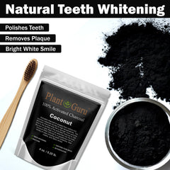 Plant Guru uso en cepillo dental para pulir sonrisa y mejorar estética
