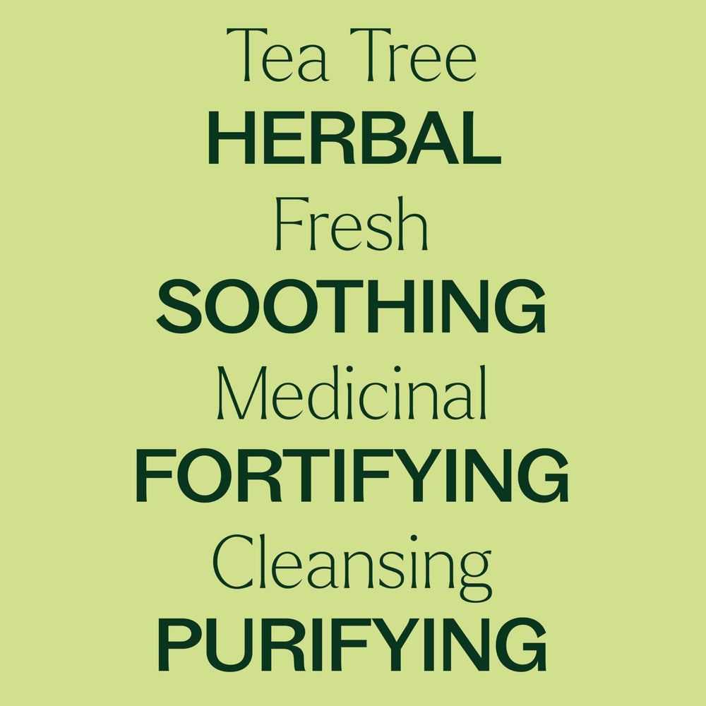 Plant Therapy aceite en difusor ambientando habitación con aroma fresco