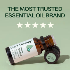 Plant Therapy spray casero de limpieza preparado con aceite