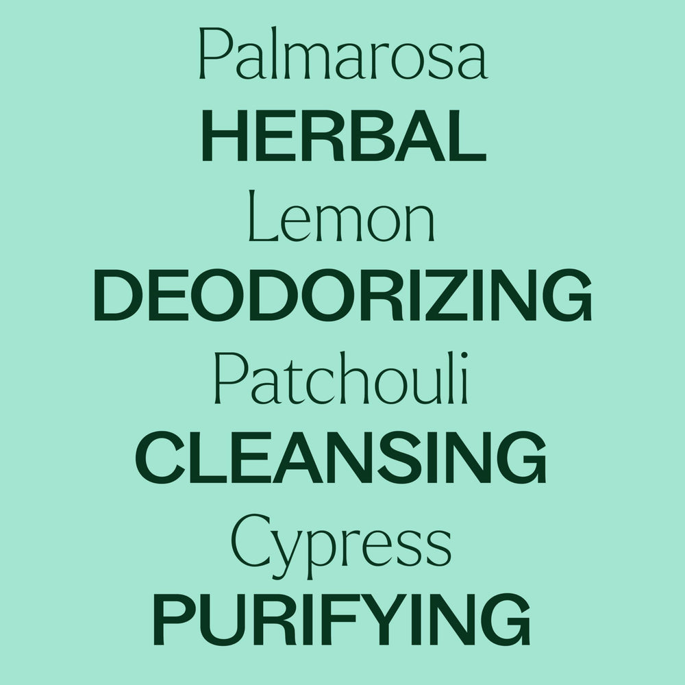 Comparación de tamaño del frasco Plant Therapy 30 mL para referencia