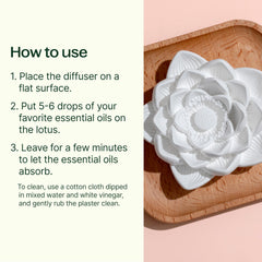 Plant Therapy detalle textura de yeso poroso que absorbe aceites
