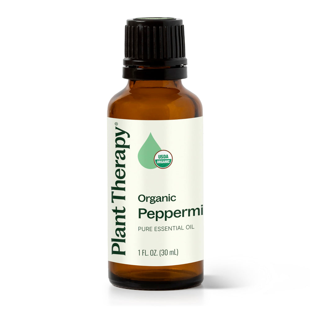 Plant Therapy menta ingredientes caseros para DIY limpiador y cosmética natural
