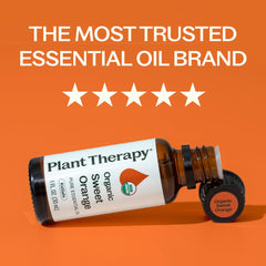 Plant Therapy gota del aceite en mano mostrando textura y pureza