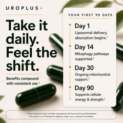 Plus+Ultra close-up de activos como resveratrol y colágeno señalando beneficios