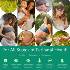 Prenatal Multi Essentials cápsula al lado de moneda para comparar tamaño práctico