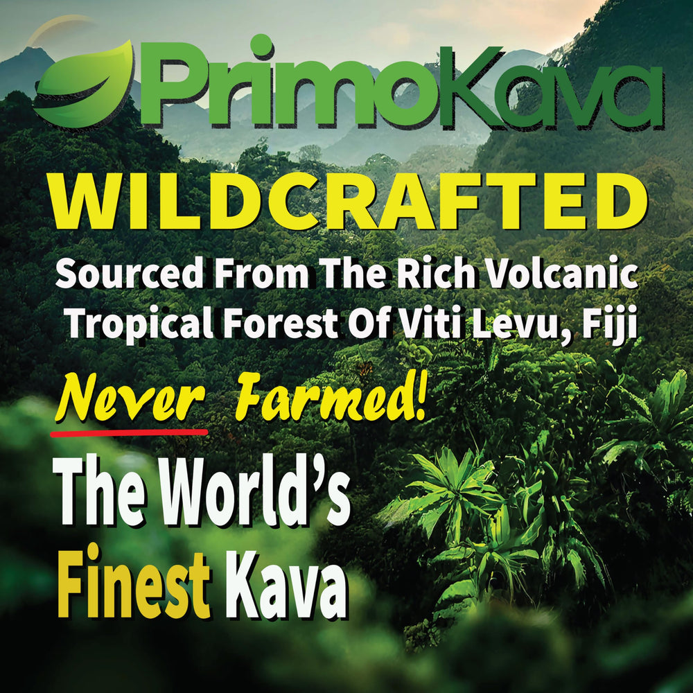 Certificados COA que respaldan la calidad de PRIMO KAVA.