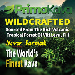 Certificados COA que respaldan la calidad de PRIMO KAVA.