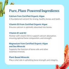 PURE SYNERGY polvo y plantas que destacan origen vegetal y pureza