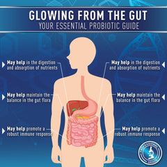 Purely Optimal etiqueta con lista de ingredientes y cepas probióticas destacadas